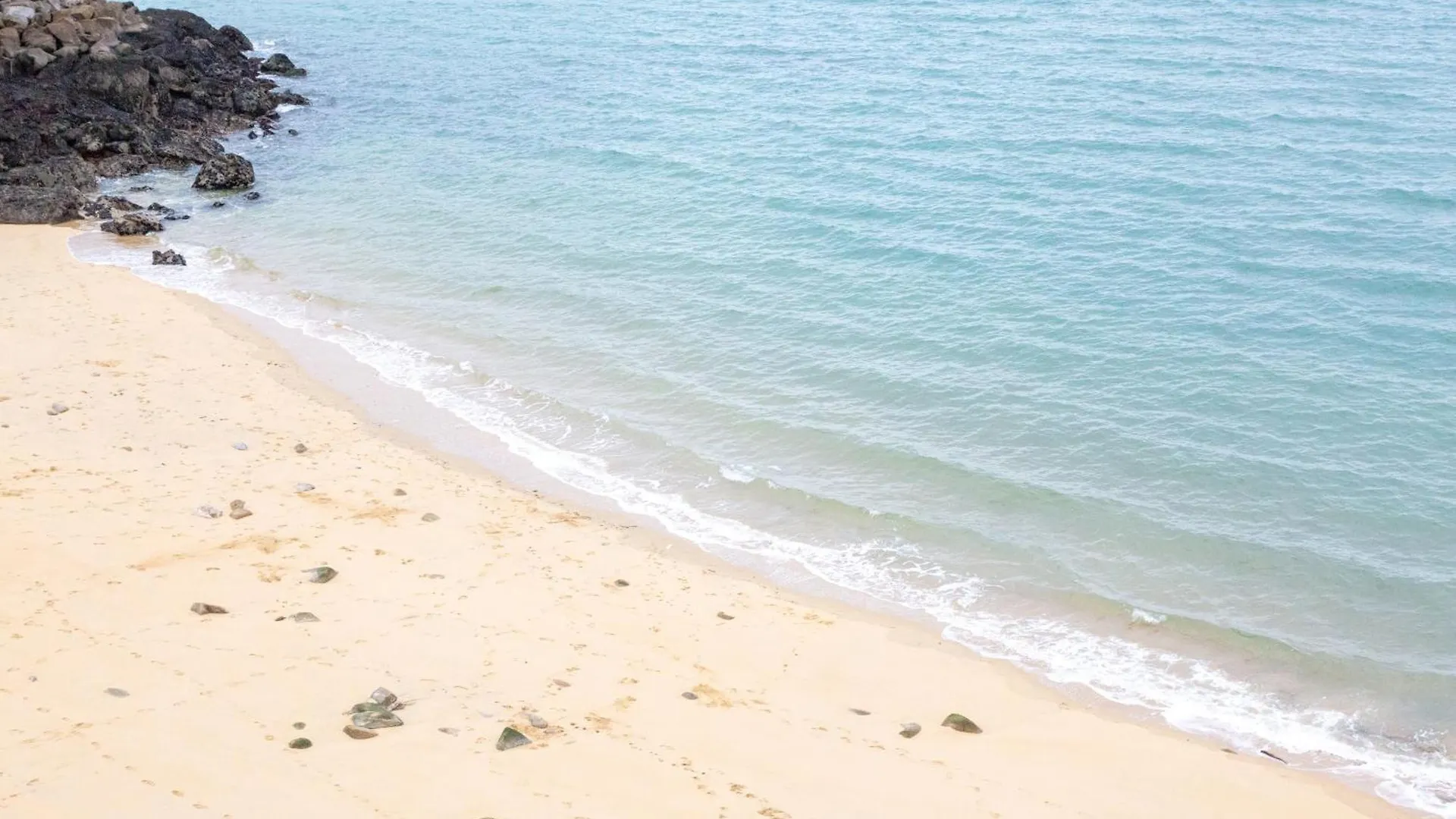 Appartement Face Mer - 50M Plage ドゥアルヌネ 0*,